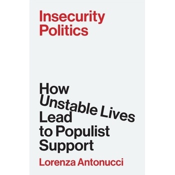 Insecurity Politics