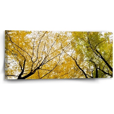 Sablio Obraz Korálový útes - 110x50 cm
