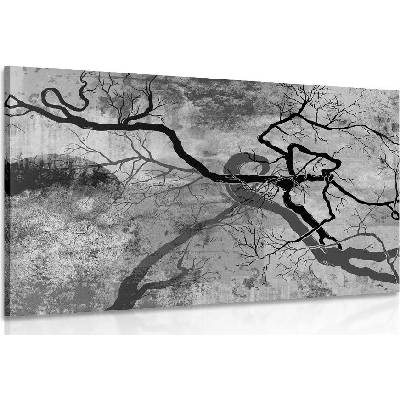 Obraz surrealistické stromy v černobílém provedení - 40x30