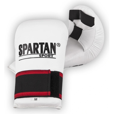 Spartan Karate