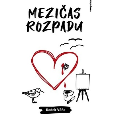 Mezičas rozpadu - Radek Váňa