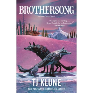 Brothersong (ISBN: 9781250890375)