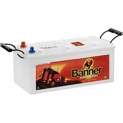 Banner Buffalo Bull 120Ah 720A left+ (620 34)