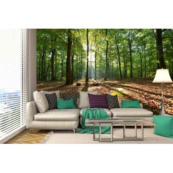 DIMEX ART s. r. o Самозалепваща се флизелинова фототапета сутрин в букова гора 375 x 250 см