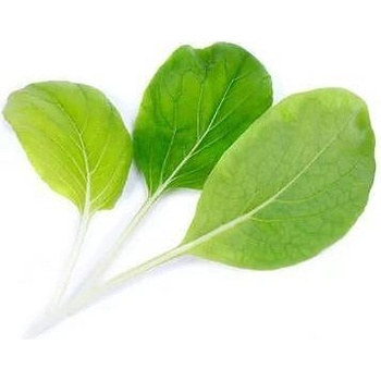 VÉritable (Франция) Пълнител (лингот) Bok choi Organic за настолна градина Véritable® - салата Бок чой (VLIN-J10-Pok023)