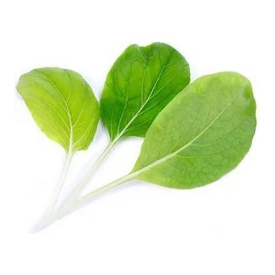 VÉritable (Франция) Пълнител (лингот) Bok choi Organic за настолна градина Véritable® - салата Бок чой (VLIN-J10-Pok023)