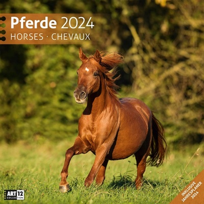 Ackermann Календар Ackermann - Horses, 2024 (4421)