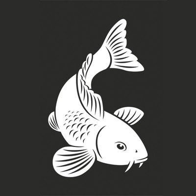 Koi Bílá autosamolepka 30 x 20 cm