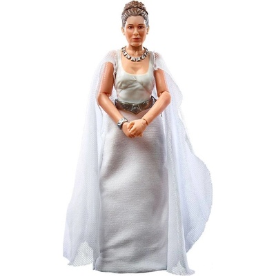 Hasbro Star Wars Episode IV Princess Leia Organa Yavin 4 Black Series