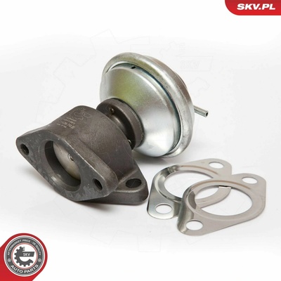AGR-Ventil ESEN SKV 14SKV051