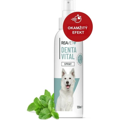 Reavet Denta Vital sprej pro snadnou péči o zuby 120 ml