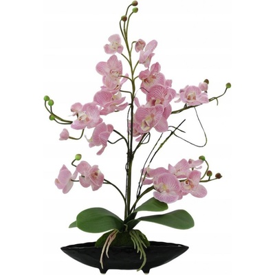 Orchidej aranžmá s květináči, růžová, 60 cm.