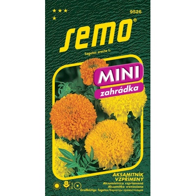 Semo Aksamitník vzpřímený - Cupidon směs 20cm 0,5g - série Mini