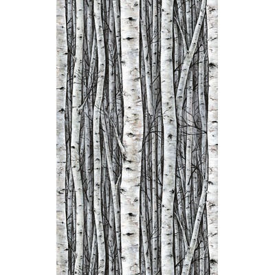 Marburg 35395 Vliesová fototapeta na zeď Timber, rozměry 0,53 x 10,05 m