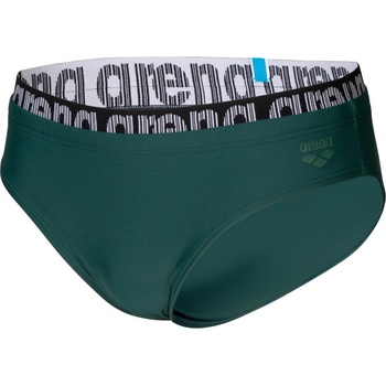 arena Elastic logo 7