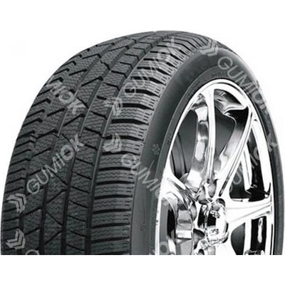 Technic Winter Master P3 205/55 R17 91H