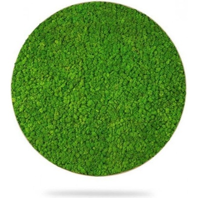 Machový obraz kruh LIŠAJNÍK mono GREEN, priemer 55cm, dubový rám