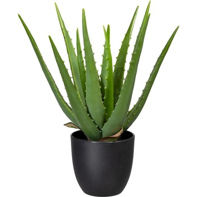 Aloe v květináči, 33cm