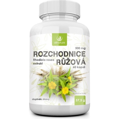 Allnature Rozchodnice růžová 500 60 kapslí