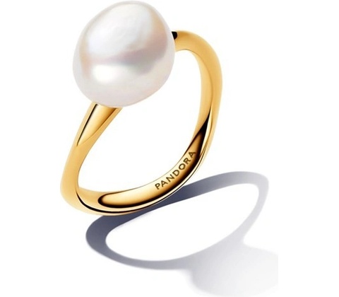Pandora 163293C01