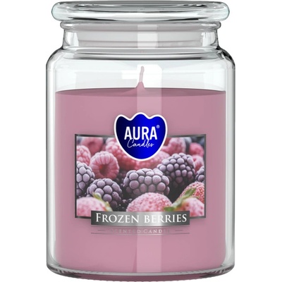BISPOL-AURA Frozen Berries 500g