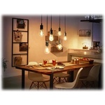 Signify_romania_srl PHILIPS HueW 7W Fil ST72 EUR E27 (929002459201)