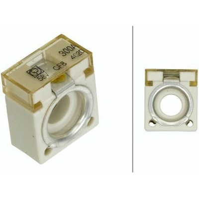 Poistka HELLA 8JS 747 876-081