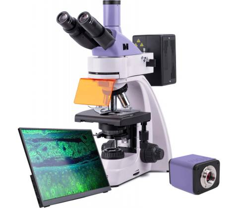 Magus Lum D400