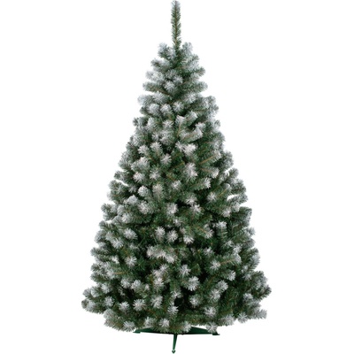 zanapo.cz Jedľa Bella biele konce 120 cm