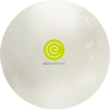 RS ECO Wellness gymball 65 cm