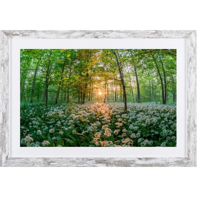 Bondecor Obraz v modernom ráme Sun 37 x 53 cm