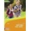 7. Schuljahr, Workbook Basic, m. Audio-CD