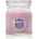 Yankee Candle Summit Stargazing ароматна свещ Signature 368 гр