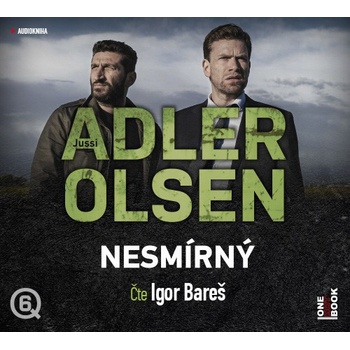 Nesmírný