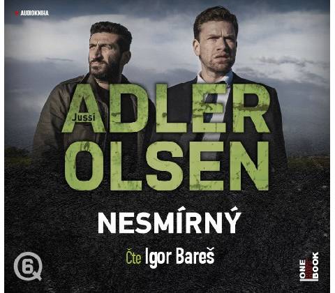 Nesmírný