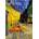 Art Puzzle - Puzzle Vincent Van Gogh - Starry Night over the Rhône, 1888 II - 1 000 piese