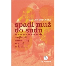 Spadl muž do sudu aneb Nejlepší anekdoty o víně a k vínu - Budinský Václav