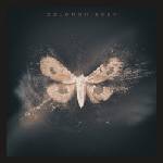 Universal Grey Solomon: Solomon Grey - CD (046821)