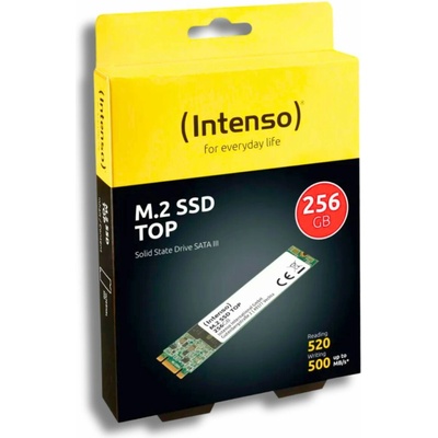 Intenso 256GB, 3832440