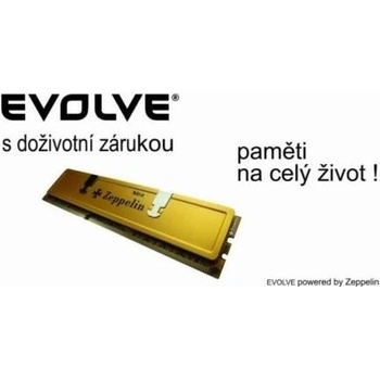 EVOLVEO Zeppelin DDR 1GB 400MHz CL3 1G/400/P-EG