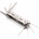 One More Cast Multitool The Cool Tool