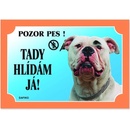 Dafiko Tabulka americký buldog 1 ks