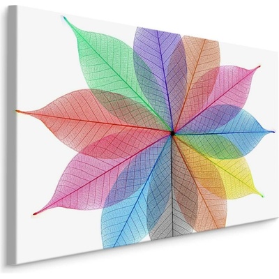 MyBestHome BOX Plátno Barevné Listy V Abstraktní Podobě Varianta: 100x70