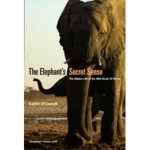 Elephant`s Secret Sense - The Hidden Life of the Wild Herds of Africa | Caitlin O'Connell (ISBN: 9780226616742)
