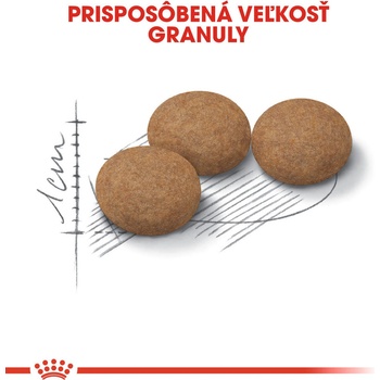 Royal Ageing Sterilised 12+ 4 kg