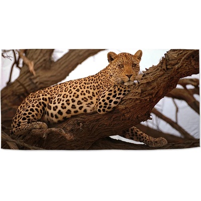 Sablio Uterák Leopard 2 50 x 100 cm