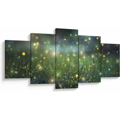 Obraz - Kouzelná noc, pětidílný 150x80 cm – Hledejceny.cz