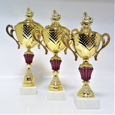 VIZINGR Hasič poháry X40-P033 X40-P033/38 cm