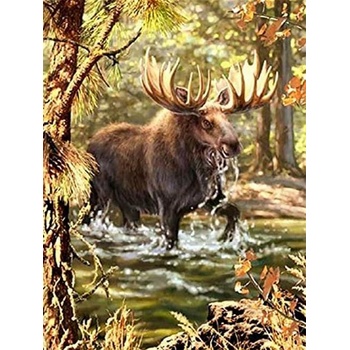 Image 1 of Norimpex - Puzzle Diamant painting: Moose in the river 30x40cm - 1 - 39 piese