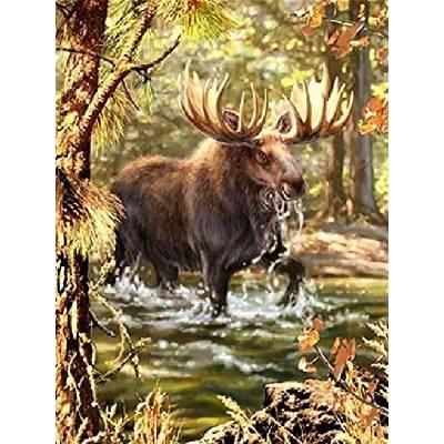 Norimpex - Puzzle Diamant painting: Moose in the river 30x40cm - 1 - 39 piese